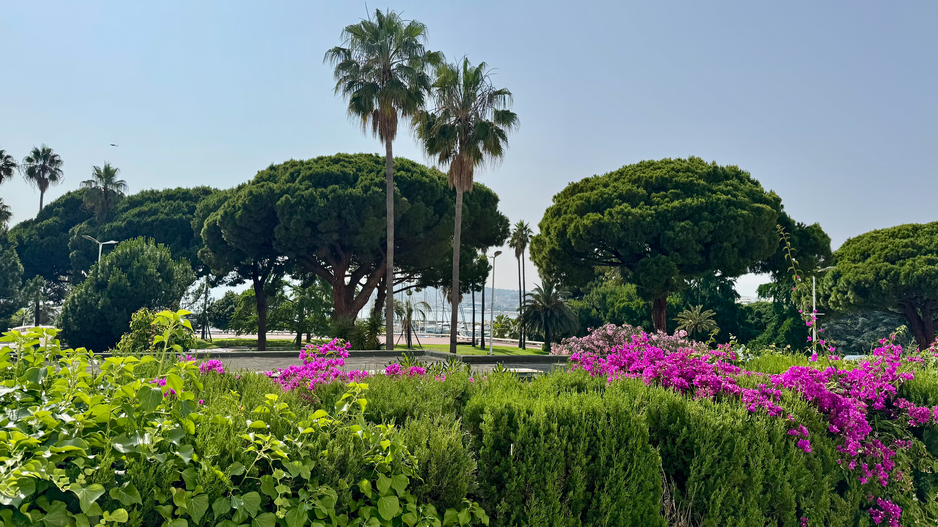 ID 396  POINTE CROISETTE - 3 BEDROOMS 10