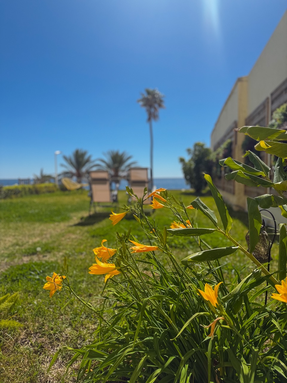 ID 361 CLEMENCEAU GARDEN  - 3 BEDROOMS 42